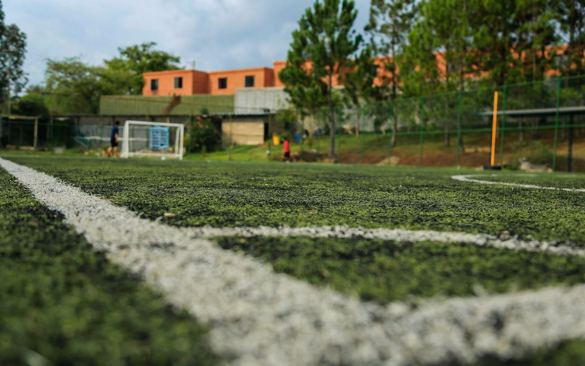 Is Artificial Turf Safe for Athletes? Eartheasy